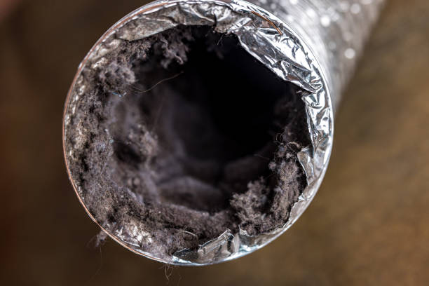 Best Ductwork Cleaning Services  in Phoenixville, PA