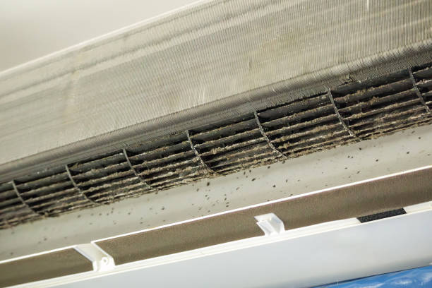 Best Affordable Duct Cleaning Services  in Phoenixville, PA
